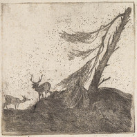 TvB G 2956
          <br/>
          Twee herten in de storm
          <br/>
          <em>Tavenraat, Johannes (1809-1881)</em>